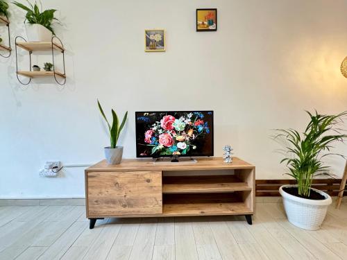 a tv sitting on top of a wooden cabinet in a room with plants at Luxury Studios in Central Kyrenia in Kérynia