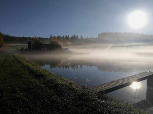 a misty lake with the sun in the background at Chalupa u Pramenů in Počátky