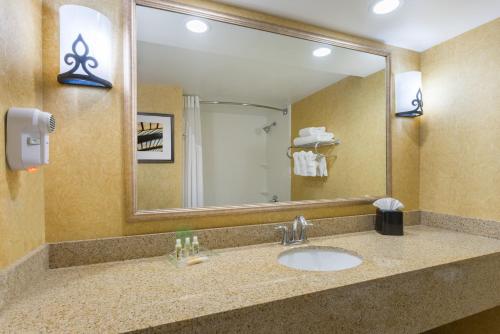 a bathroom with a sink and a large mirror at Holiday Inn Baltimore BWI Airport, an IHG Hotel in Linthicum Heights
