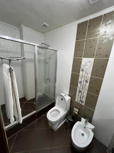 a bathroom with a shower and a toilet and a sink at Sary Arka Hotel in Shymkent