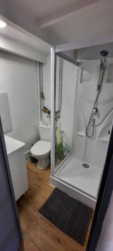 une salle de bain avec douche et toilettes dans l'établissement Studio coin nuit terrasse à 5 minutes de la plage N1, à Saint-Laurent-du-Var