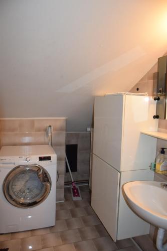 a small bathroom with a washing machine and a sink at Apartma narava in Begunje pri Cerknici