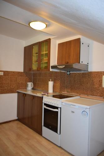 a kitchen with a stove and a white dishwasher at Apartma narava in Begunje pri Cerknici