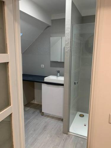 une petite salle de bain avec un lavabo et une douche dans l'établissement studio 24 m² proche arrêt de bus, à Beauvais