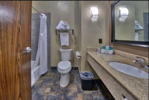 La salle de bains est pourvue de toilettes, d'un lavabo et d'un miroir. dans l'établissement Holiday Inn Express and Suites Lubbock South, an IHG Hotel, à Lubbock