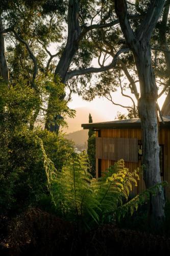 a house in the forest with a tree at Fig Place Wonderful Vista in Lindisfarne