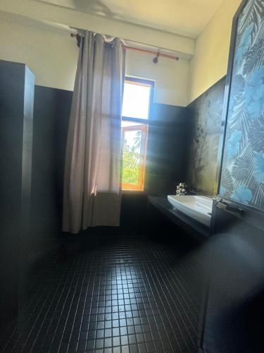 a bathroom with a shower and a sink and a window at Coconut Palm beach restaurant and rooms in Dickwella