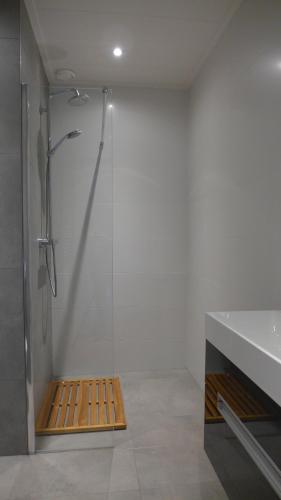 a bathroom with a shower with a glass door at Druvebeam in Oudega