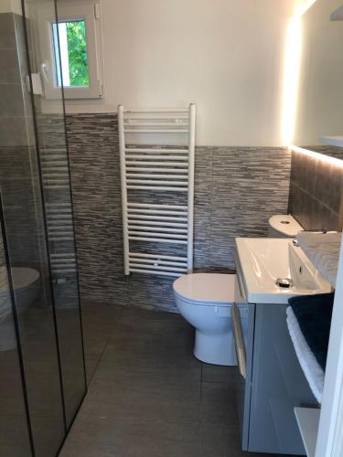 uma casa de banho com um WC, um lavatório e um chuveiro em Gite des 3 cigognes em Colmar