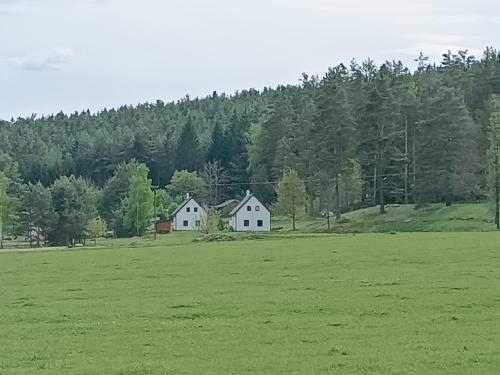 un campo con dos casas blancas en un campo verde en Klidná lokalita Na kraji lesa, celý dům s úschovnu kol, en Nová Bystřice