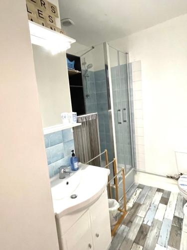 une salle de bain avec un lavabo et une douche dans l'établissement Studio Le cheval de Mers au coeur du centre équestre, à Mers-les-Bains