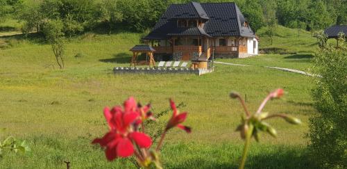 a house in a field with a red flower in front at Pensiunea Ancuta din Botiza in Botiza