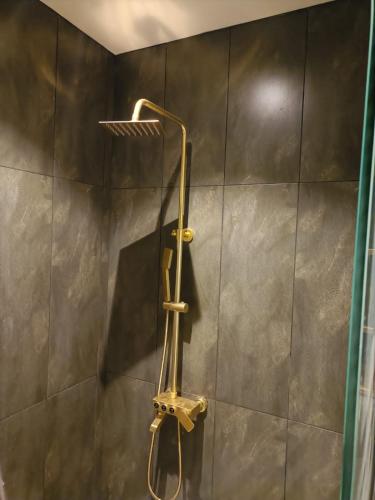 a shower with a brass shower head on a wall at Royal Lodge By Hotel Demanchi in Murree