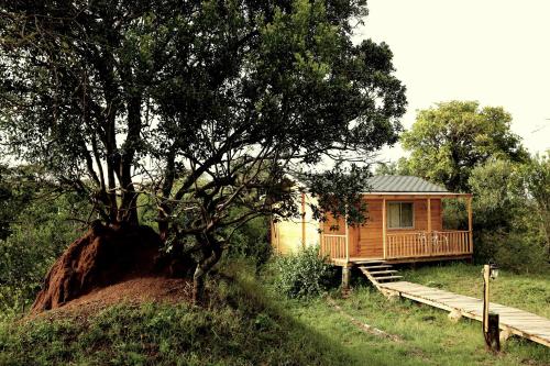 Naturlandschaft in der Nähe der Lodge