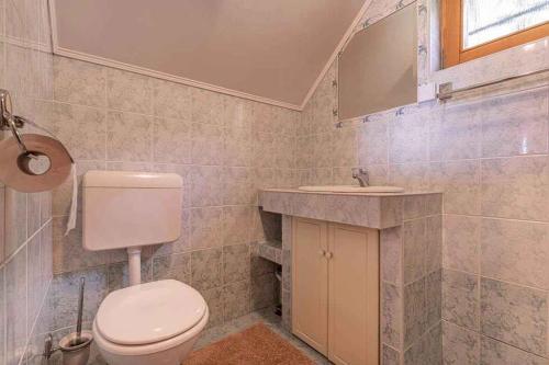 y baño con aseo y lavamanos. en Holiday home in Novo mesto - dostava - Kranjska Krain 26036 en Trška Gora