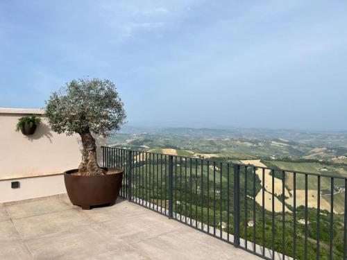 a bonsai tree sitting on a balcony with a view at Dimora Santa Chiara in Ripatransone