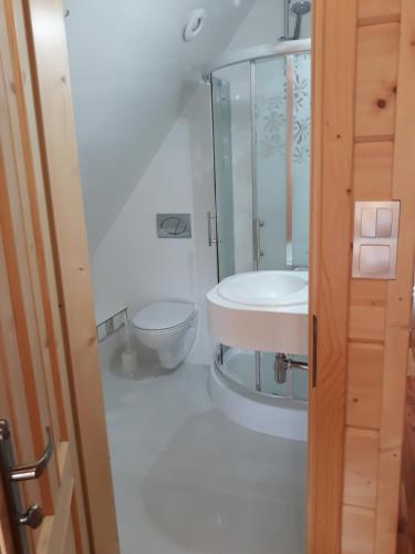 a bathroom with a toilet and a sink at Drewniana Oaza in Ochotnica Dolna