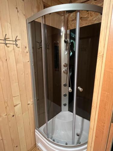a shower with a glass door in a bathroom at Pod Magnolią in Targanice