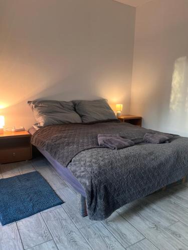 a bedroom with a bed with two night stands and two lamps at Agro-Stajnia 