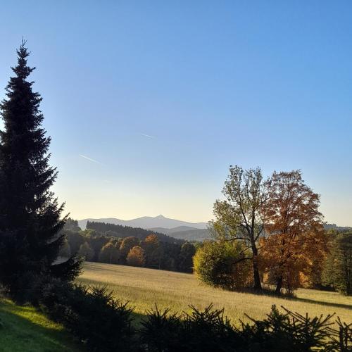 a field with trees and mountains in the distance at Ubytko ráj pod kaštanem in Jablonec nad Nisou