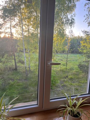 a window with a view of a field at Agro-Stajnia in Rudniki