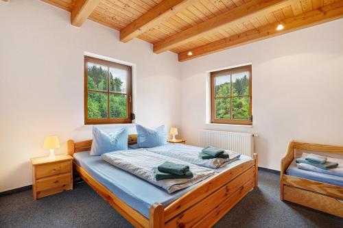 a bedroom with a bed and two windows at Ferienhaus 'Zum Zaunkönig' in Luftkurort Lückendorf