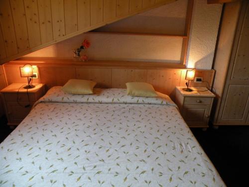 a bedroom with a bed and a lamp at Hotel Vajolet in Mazzin
