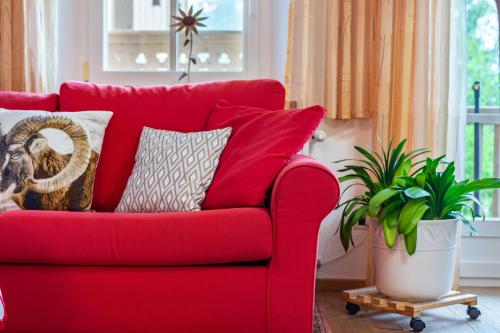 a red couch in a living room with a plant at Grotthof in Nova Ponente