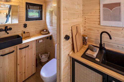 a small bathroom with a sink and a toilet at Almhütte mit Tiny House in Ulrichstein
