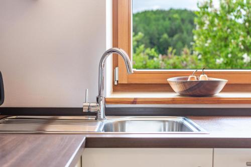 a kitchen sink with a bowl on a window sill at Aschnerhof Auf´m Egg in Collalbo