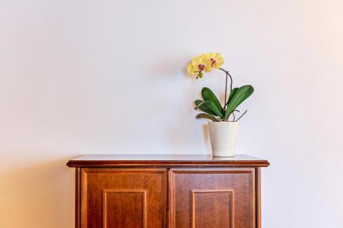 a flower in a vase on top of a cabinet at Grotthof in Nova Ponente