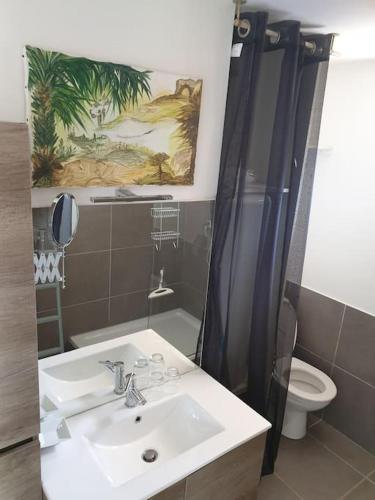 une salle de bain avec un lavabo, des toilettes et une douche dans l'établissement maisonnette au grau d agde proche de la plage, au Grau-dʼAgde