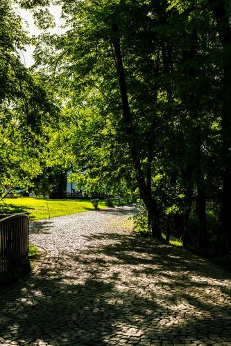a tree lined path in a park with trees at Zamek Dubiecko in Dubiecko