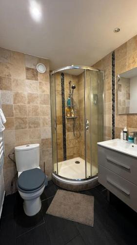 une salle de bain avec une douche, des toilettes et un lavabo dans l'établissement Appartement Moderne - Antibes, à Antibes