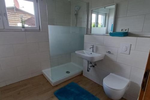a bathroom with a sink and a toilet and a mirror at Ferienwohnung auf dem Bauernhof in Willebadessen