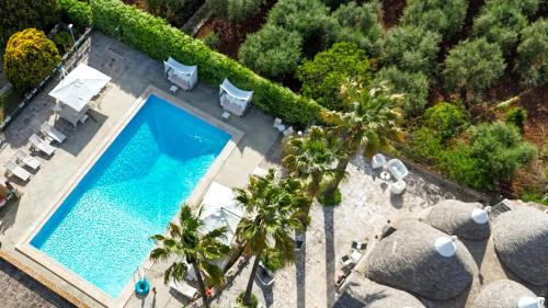 an overhead view of a swimming pool with palm trees at Villa Pesce in Selva di Fasano