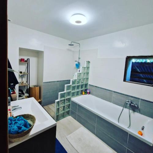 une salle de bain avec une baignoire et un lavabo dans l'établissement La Ferme Des Demoiselles, à Sarrians