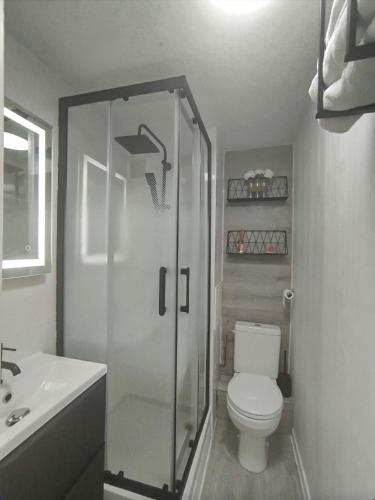 une salle de bain avec une douche, des toilettes et un lavabo dans l'établissement Appartement entre Lac et Océan Vieux-Boucau-les-Bains 2 étoiles, à Vieux-Boucau-les-Bains