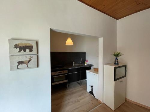 cocina con fregadero y nevera en una habitación en Paradiesisch Wohnen Wiesbaden, en Wiesbaden