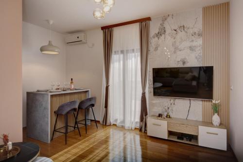 TV a/nebo společenská místnost v ubytování Seaview apartment Risinium