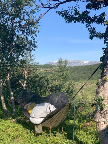 a hammock hanging from a tree in a field at Cozy family friendly cabin at beautiful location! in Geilo