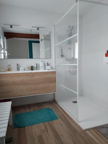 une salle de bain avec douche et lavabo dans l'établissement Maison face a la mer, à Rivedoux-Plage