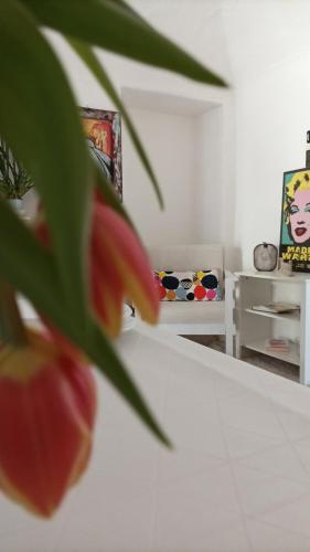 a close up of a flower in a room at Quick Home - Interno 45 in Biella