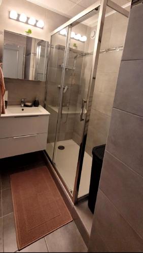une salle de bain avec douche et lavabo dans l'établissement Appartement proche de la plage, à Cannes