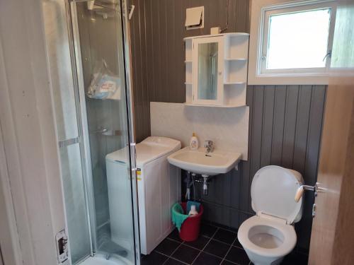 a bathroom with a toilet and a sink and a shower at Strandheim Two-Bedroom Cottage in Birkeland