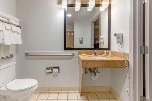 a bathroom with a toilet and a sink and a mirror at Country Inn & Suites by Radisson, Newport News South, VA in Newport News