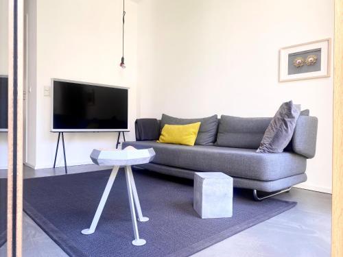 Zehuus Gartenstudio mit Terrasse في كولونيا: غرفة معيشة مع أريكة رمادية وتلفزيون