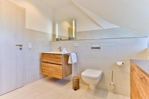 a bathroom with a toilet and a sink and a mirror at Landhaus Wreechen mit Dachterrasse in Putbus