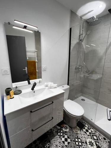 une salle de bain avec un lavabo, des toilettes et une douche dans l'établissement Savane - Appart. tout équipé rénové, avec terrasse, à Vichy