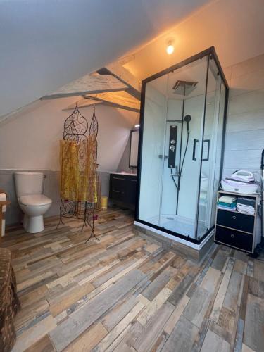 une salle de bain avec une douche en verre et des toilettes dans l'établissement Appartement Mansoreau, au Mans